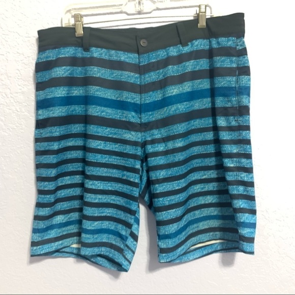 The North Face Men’s Blue Striped Drawstring Swim Shorts - Picture 1 of 7